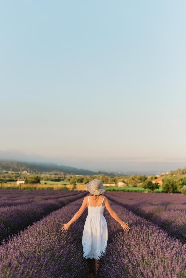 La Petite Ruche, 1 Bedroom Gite In The Luberon أبْتْ المظهر الخارجي الصورة