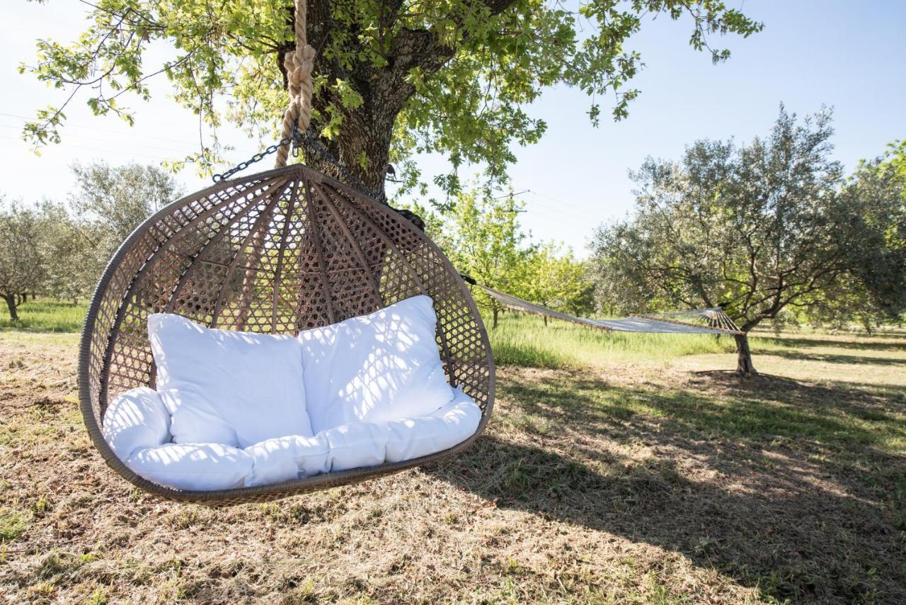 La Petite Ruche, 1 Bedroom Gite In The Luberon أبْتْ المظهر الخارجي الصورة